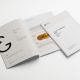 brand guidelines for consistency